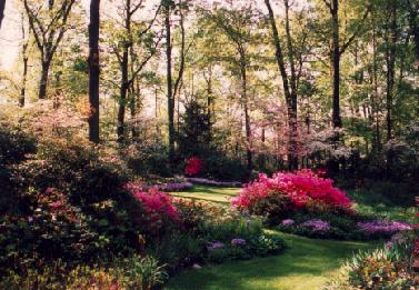 Garden in Early Spring